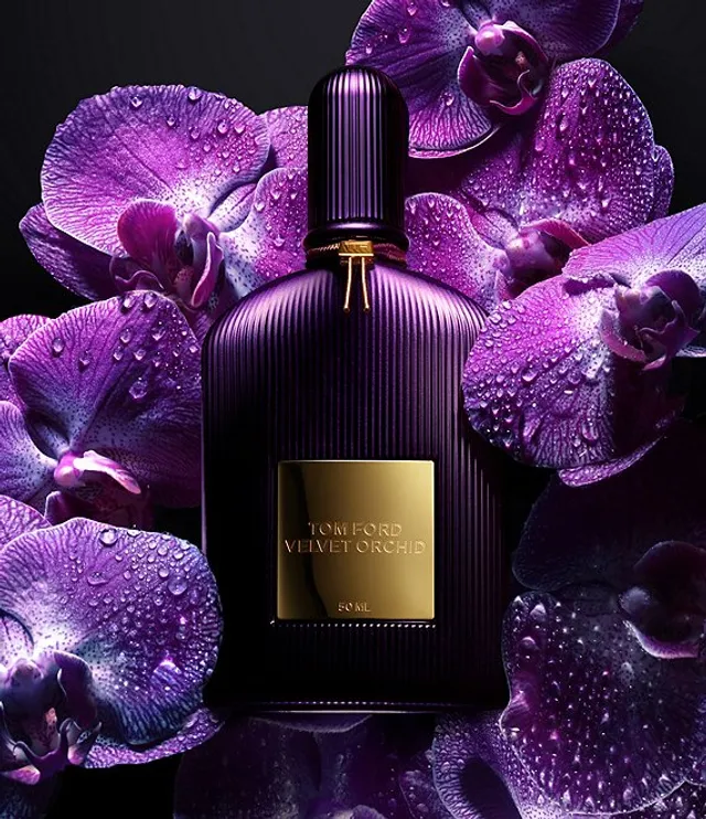 Tom ford perfume dillards shop