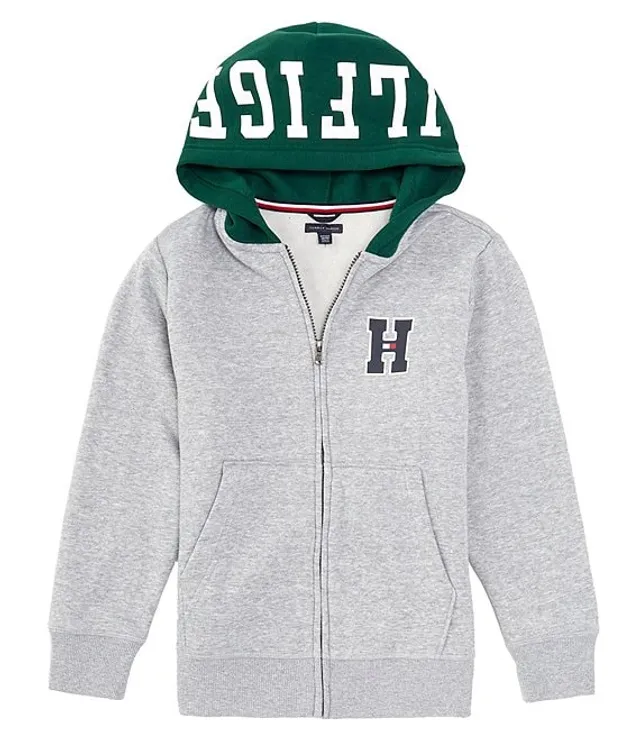Tommy hilfiger best sale hoodie colorblock