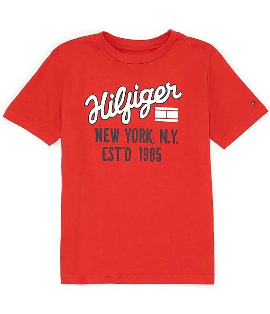 Tommy hilfiger boys t sale shirt