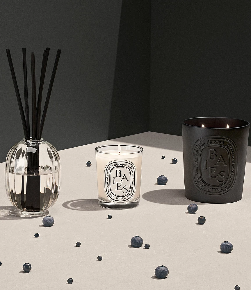 DIPTYQUE Baies (Berries) Classic Candle | Liberty Center