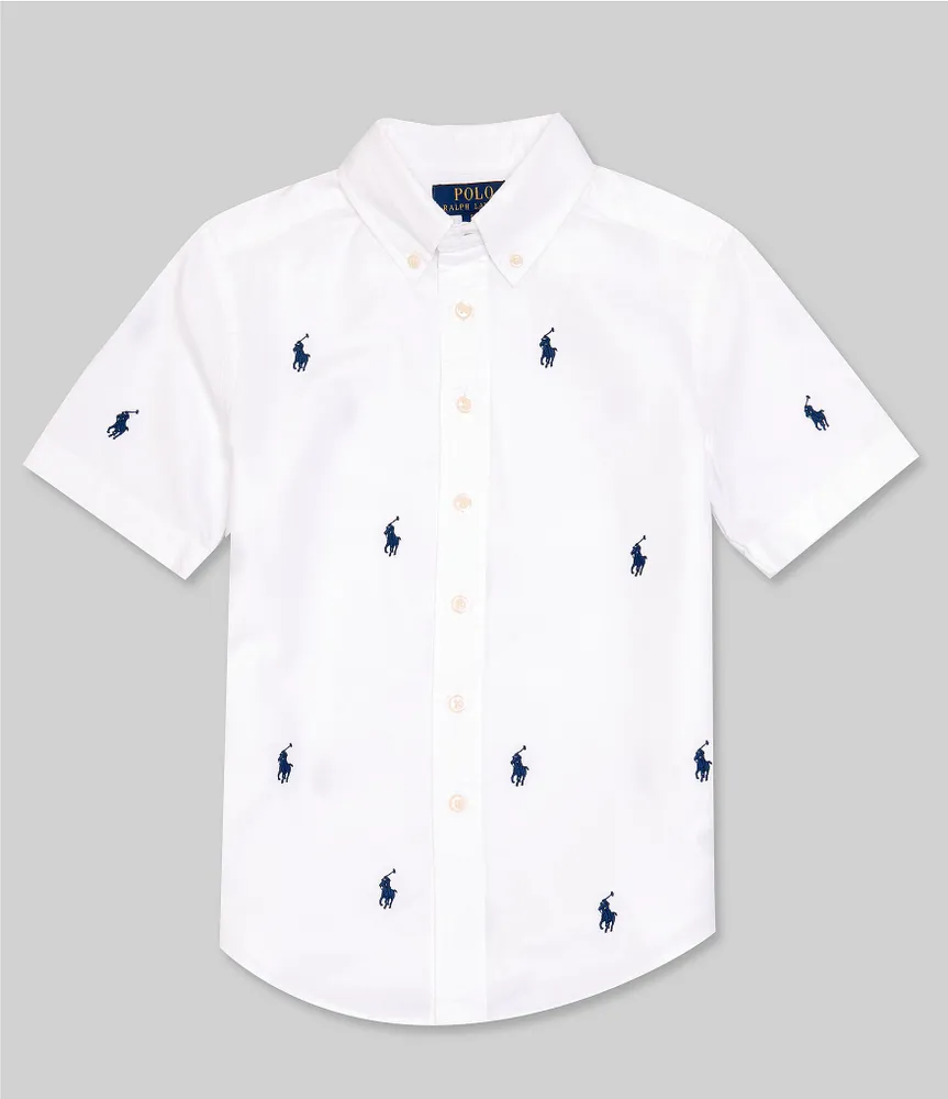 Polo big oxford hot sale