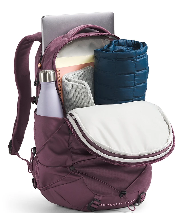 North face aurora borealis backpack shop