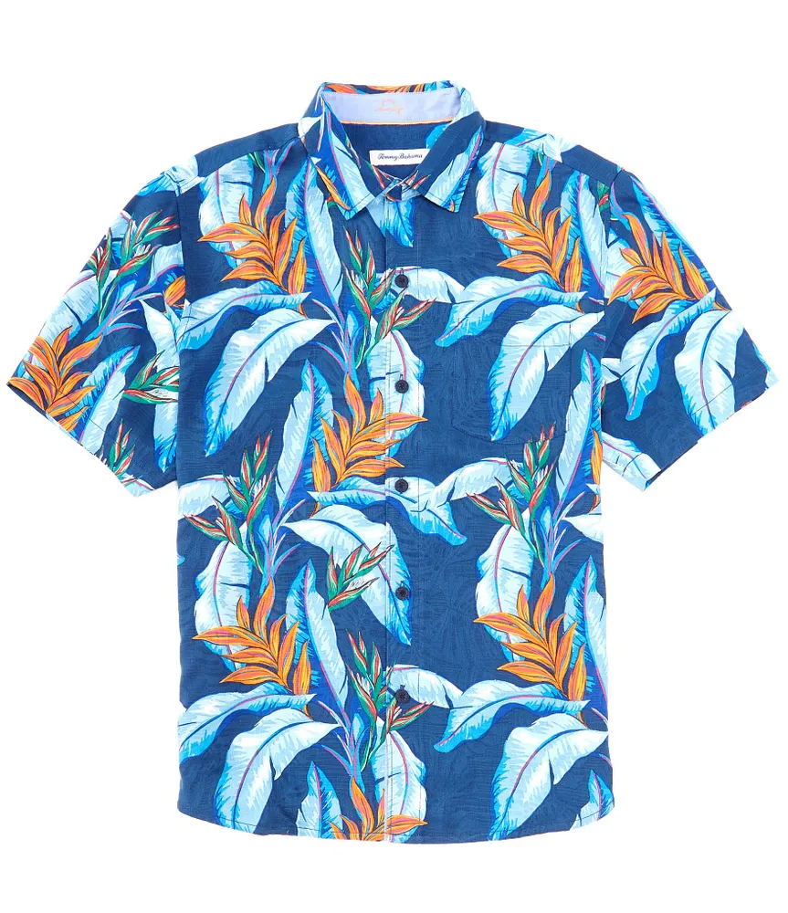 Tommy tropics clearance