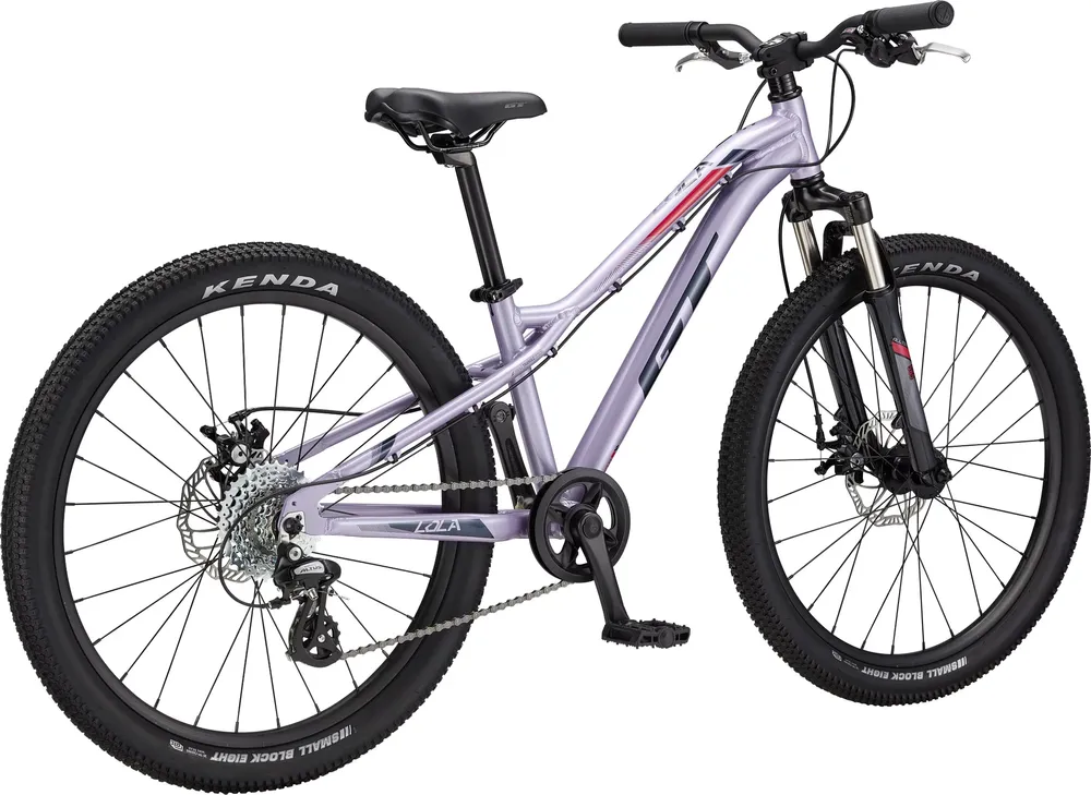 Dick's sporting discount goods mountain bike