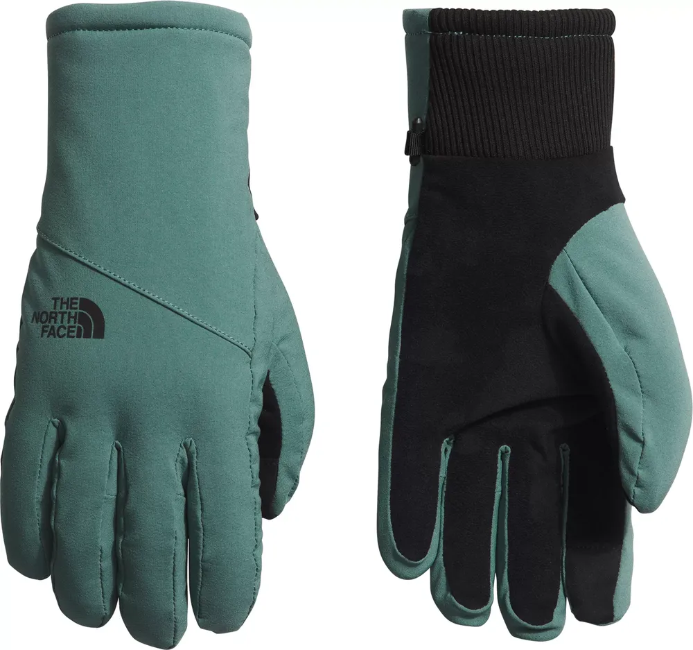 North face women's indi clearance etip gloves