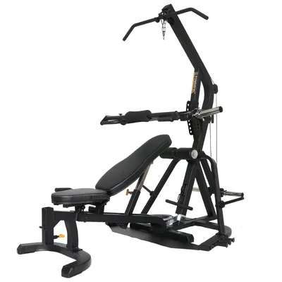 Powertec chin dip assist 2025