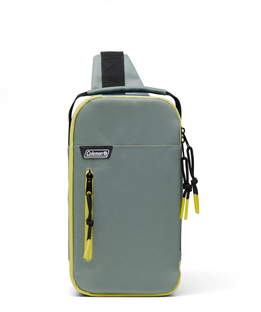 Dsg convertible online backpack