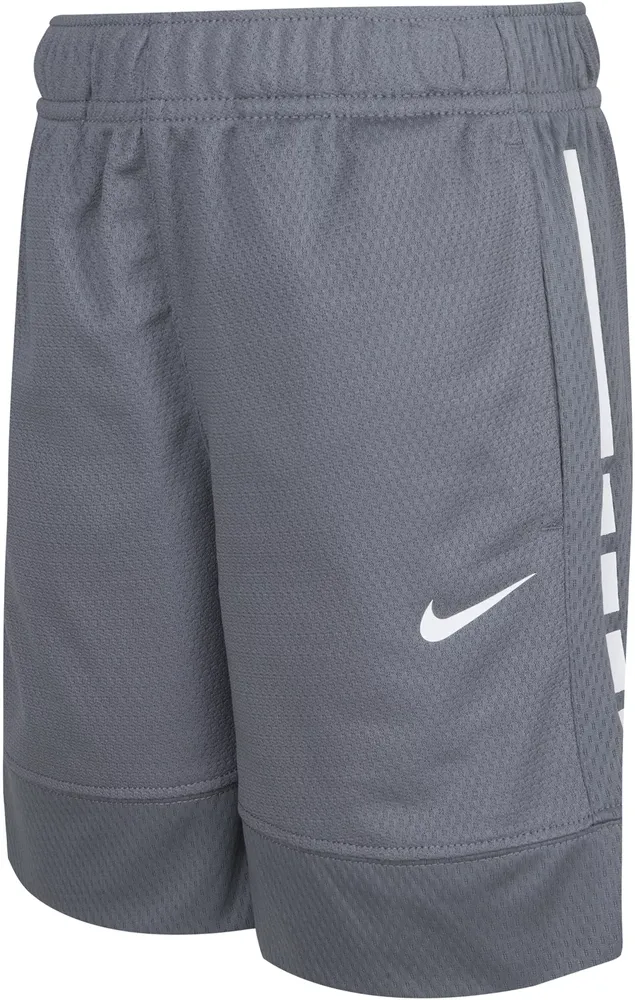 Dick's top nike shorts