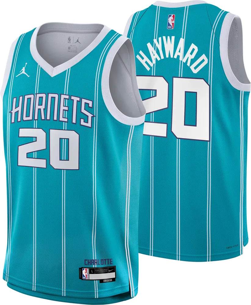 Dick s Sporting Goods Nike Youth Charlotte Hornets Gordon Hayward