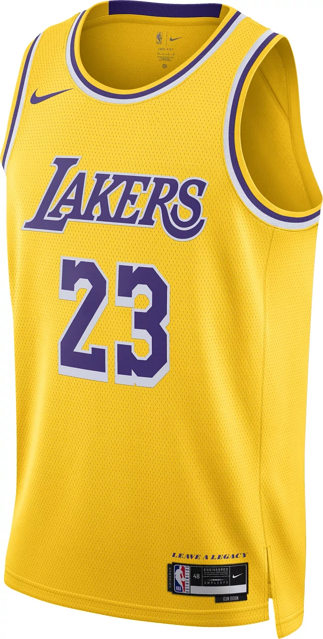 Lebron james jersey dicks sporting goods online