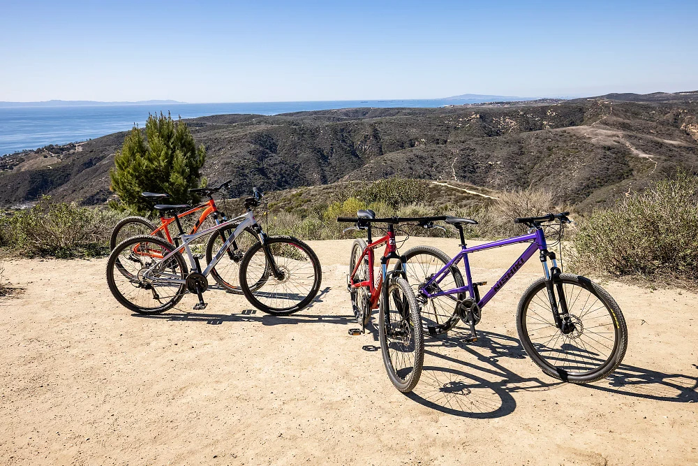 Mountain bikes at dick's sporting s shops