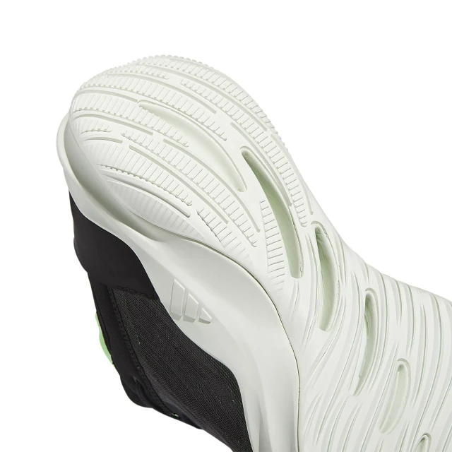 Adidas Adizero Select 2.0 Basketball Shoes | Hamilton Place