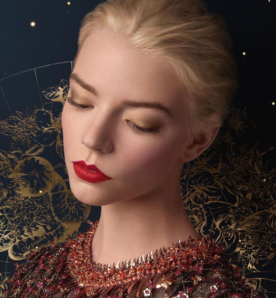Dior blush store limited edition