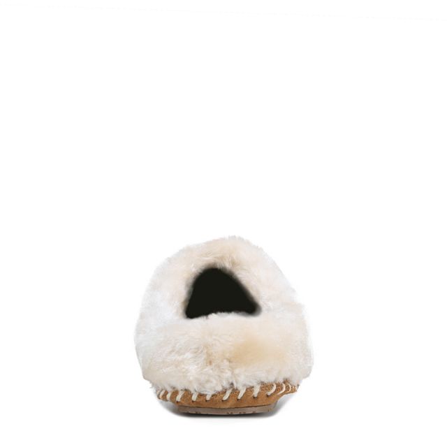 Women's caitlin clog slipper store