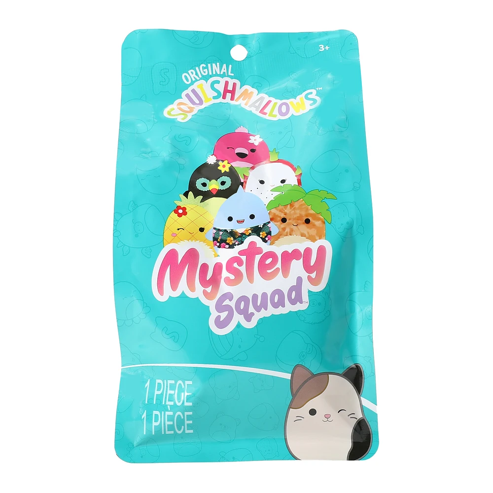 Oriam & Kalina 16” Squishmallows/free Mystery 2024 Bag