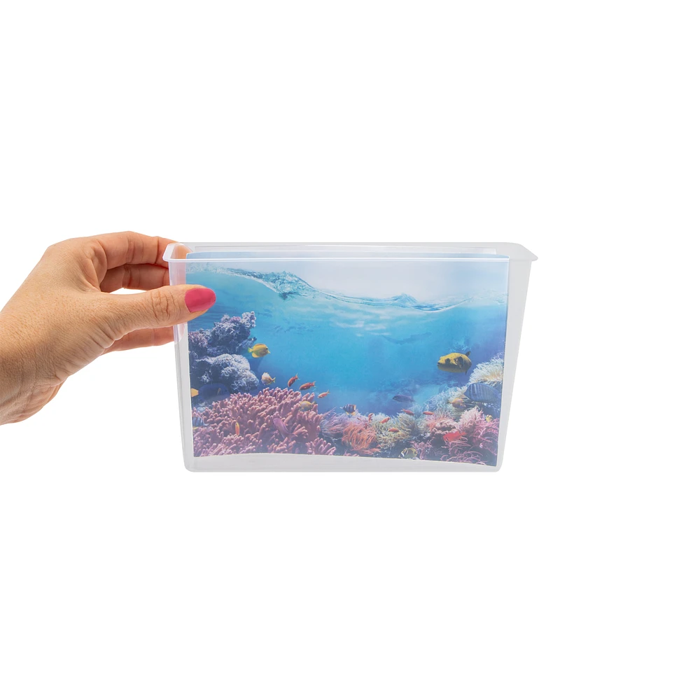 RMS® Unbelievable Science Grow Your Own Underwater Coral Reef at