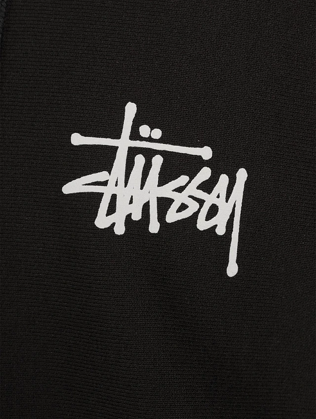 STUSSY フォックス Lsize