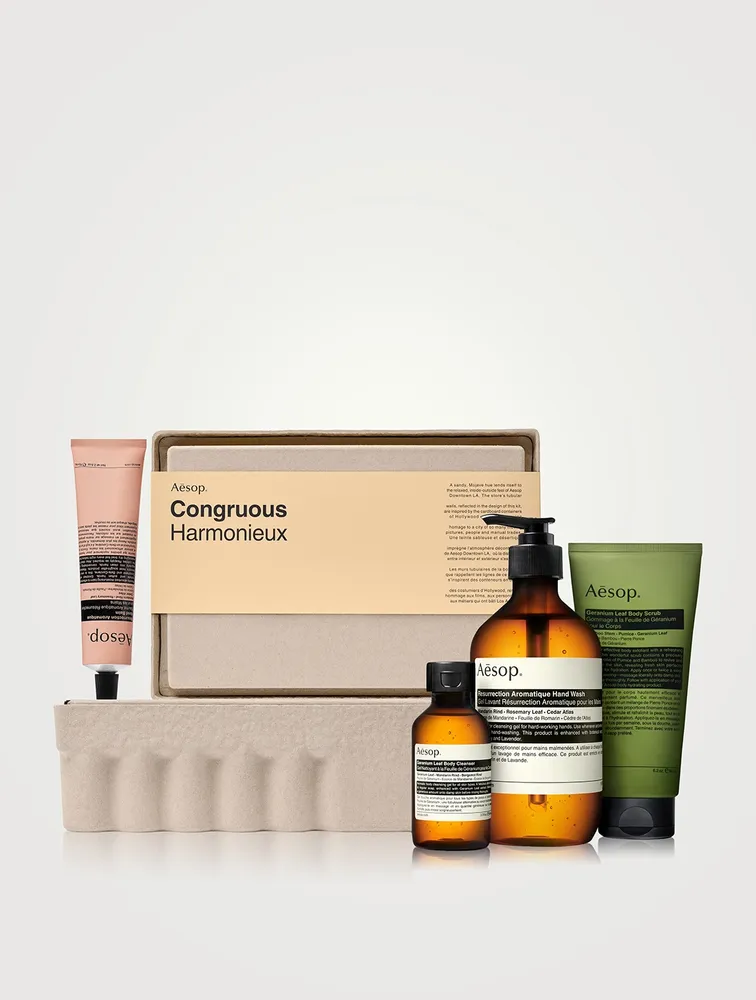 AESOP Congruous Elaborate Body Kit | Yorkdale Mall