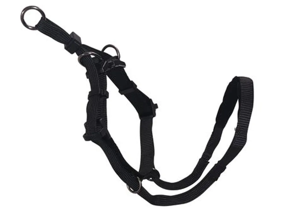 Dog walking outlet halter