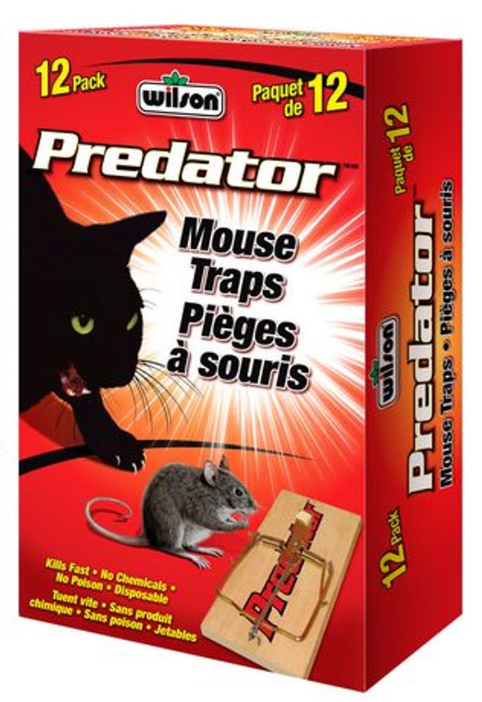 Predator mouse best sale trap