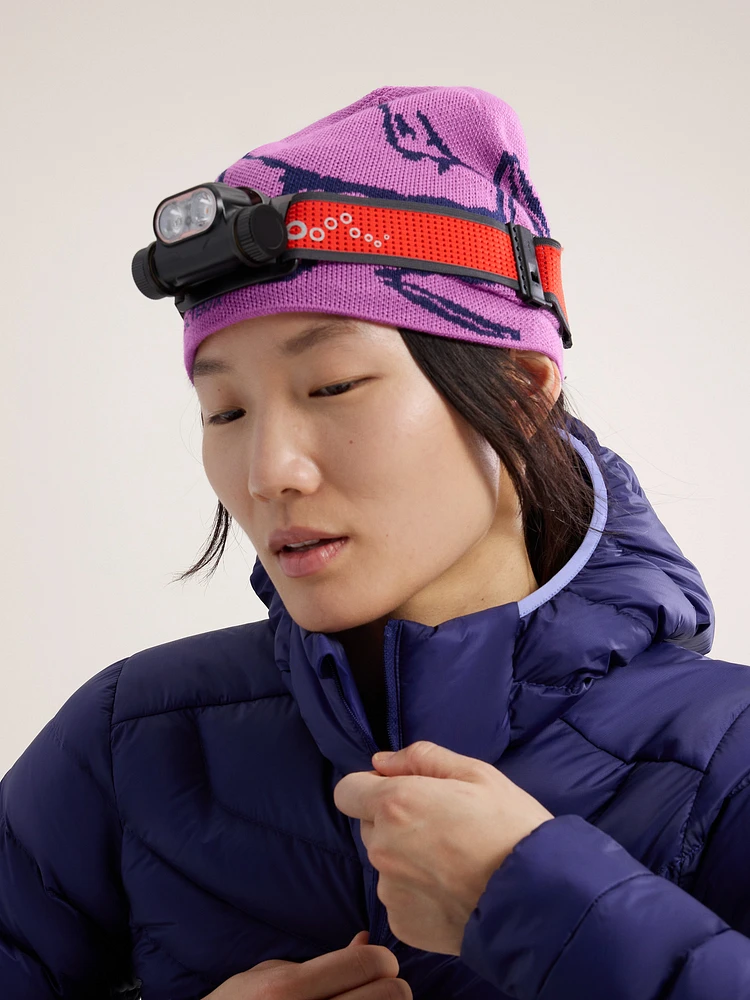 Arc'teryx Bird Head Toque | Coquitlam Centre