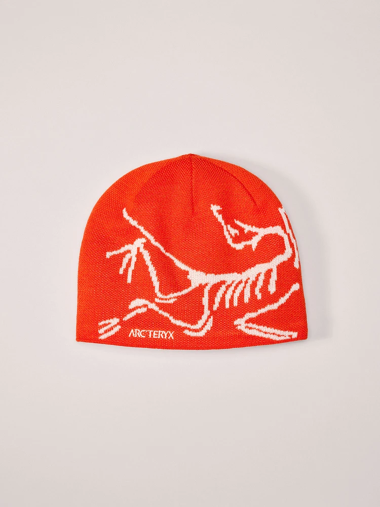 Arc'teryx Bird Head Toque | Square One