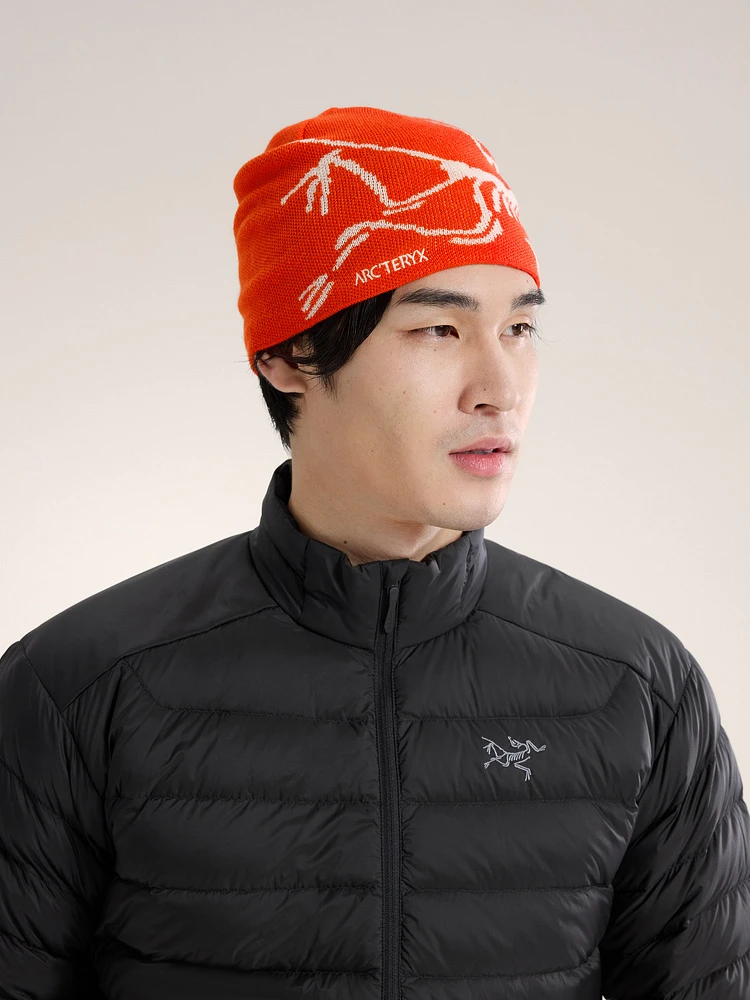 Arc'teryx Bird Head Toque | Square One