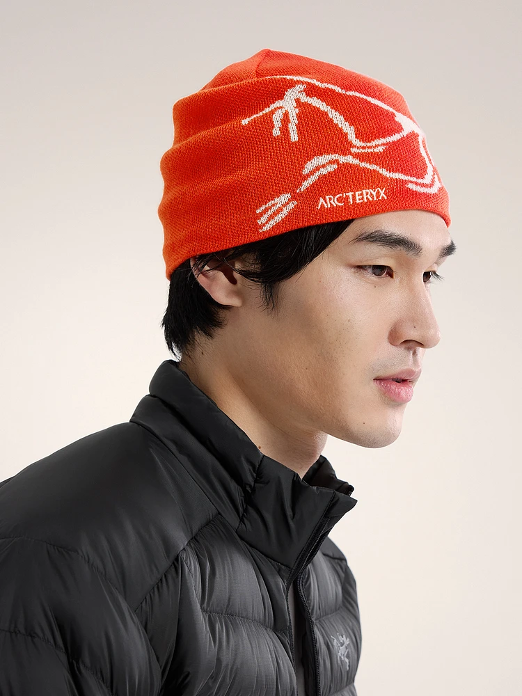 Arc'teryx Bird Head Toque | Square One