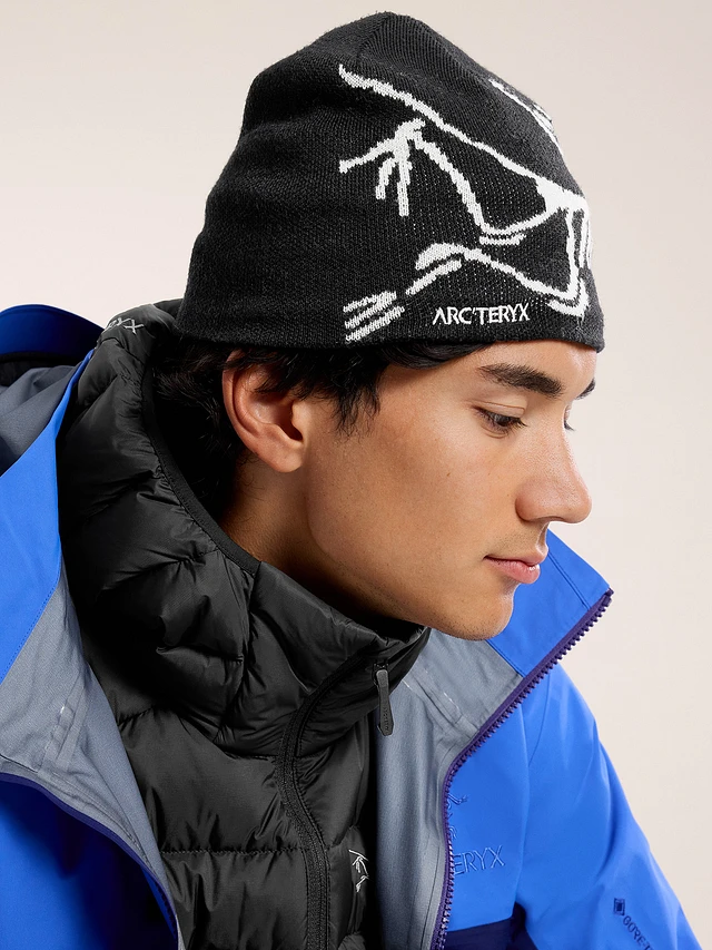 Arc'teryx Bird Head Toque | Square One