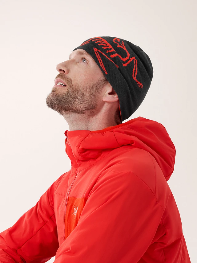 Arc'teryx Lightweight Bird Head Toque | Square One