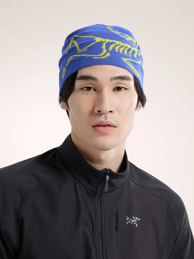 Arc'teryx Lightweight Bird Head Toque | Square One