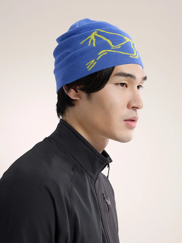 ARC'TERYX Bird Head Toque 正規品 Bird Head Toque | Arc'teryx