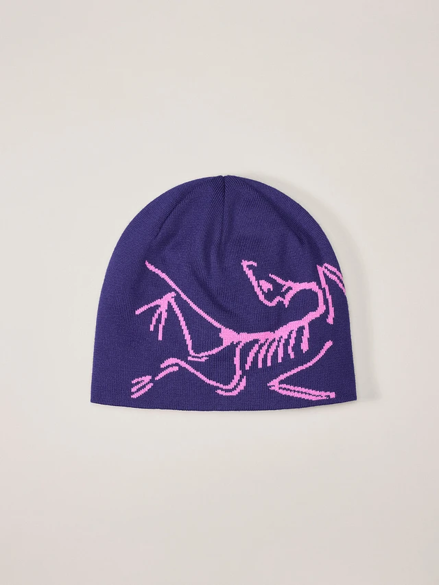 Arc'teryx Lightweight Bird Head Toque | Square One