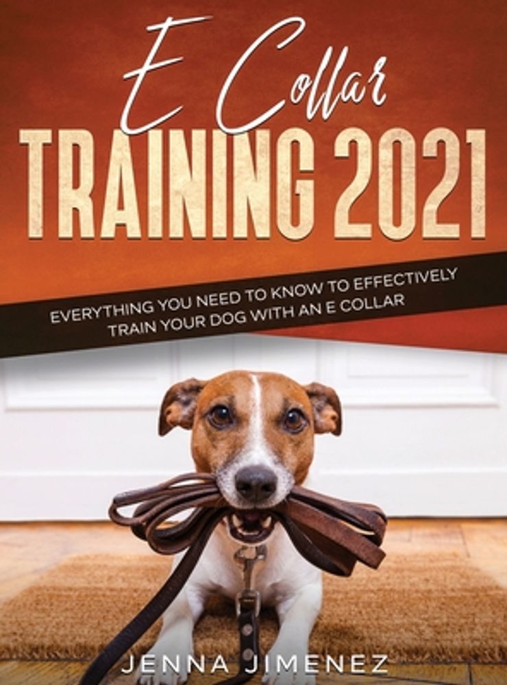 Training your dog shop with an e collar