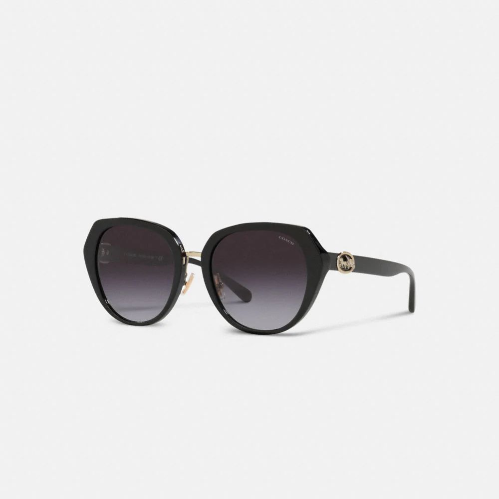 COACH® Horse And Carriage Oversized Round Sunglasses | Mall of America®