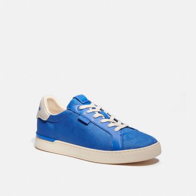 lowline signature sneaker coach