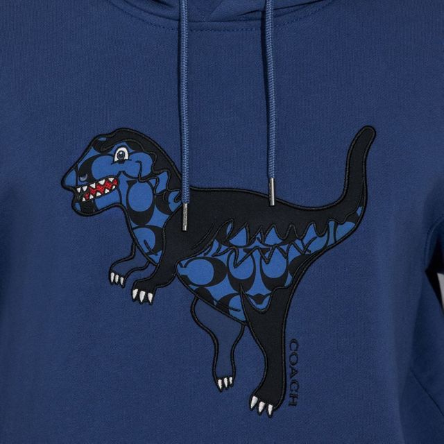 Coach dinosaur hot sale sweatshirt