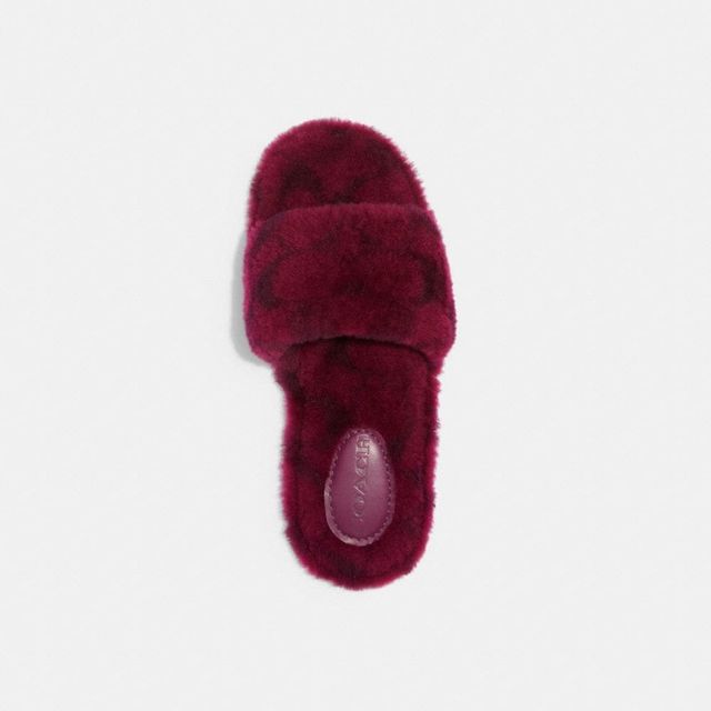 Coach hot sale fuzzy slippers