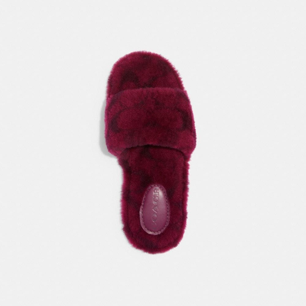 Coach shearling online slippers