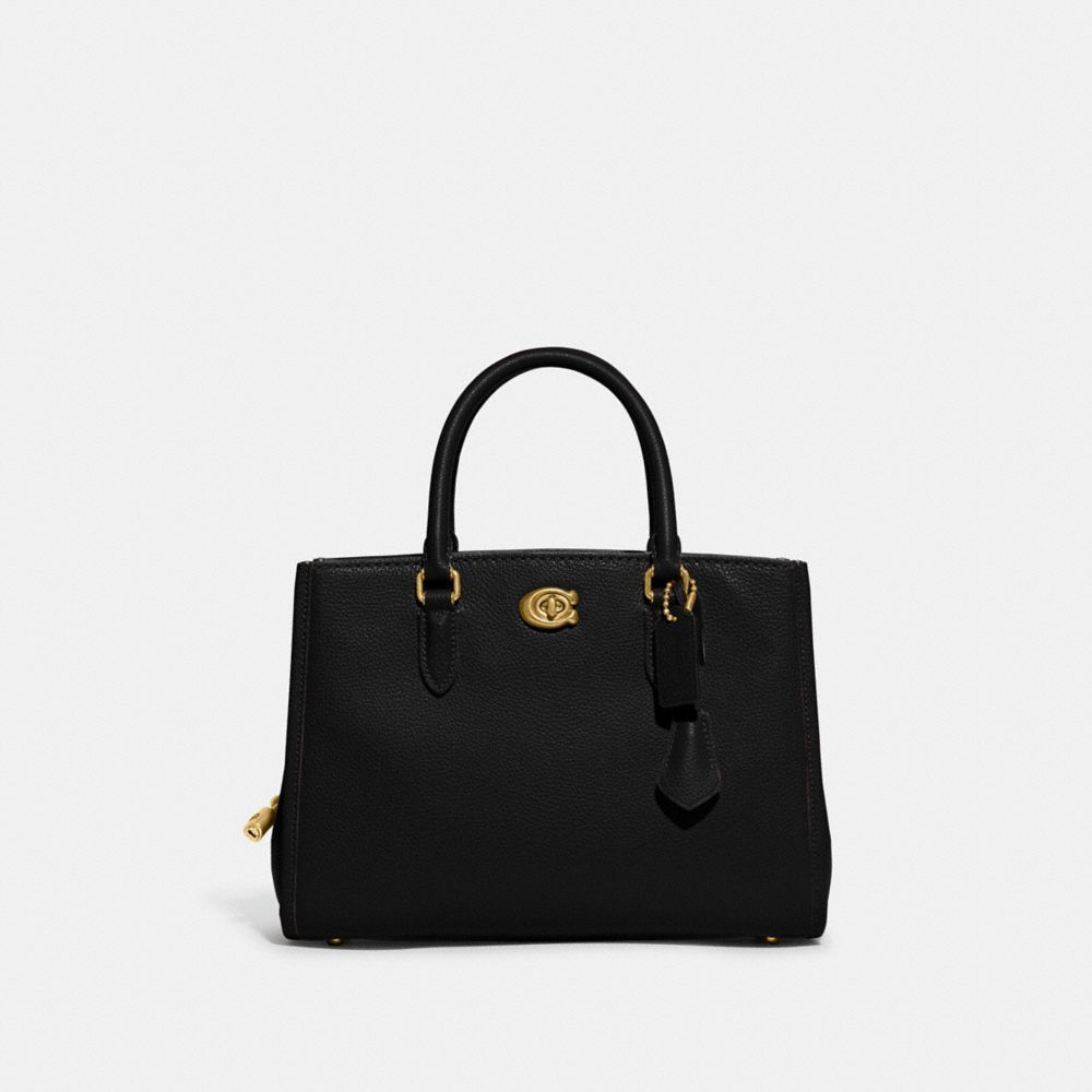 Coach mini brooke online carryall