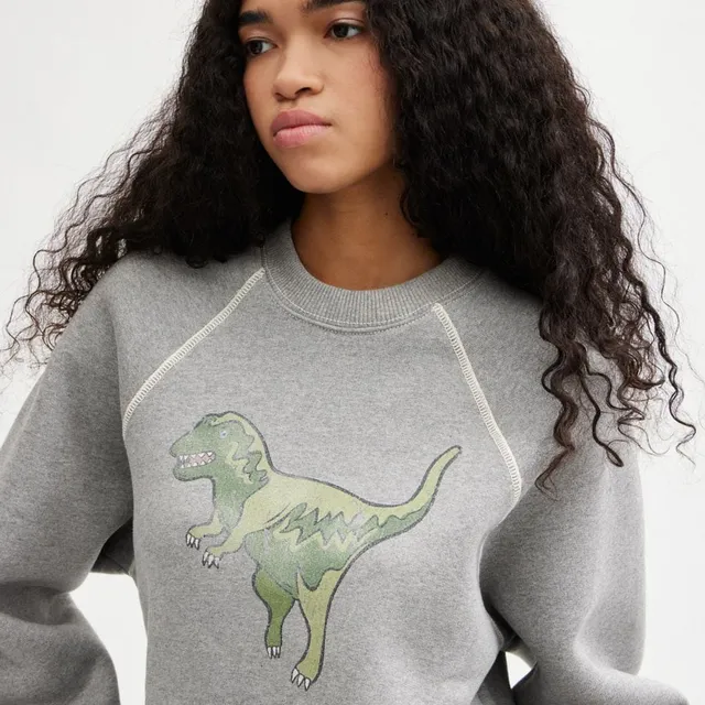 Coach best sale dinosaur sweatshirt