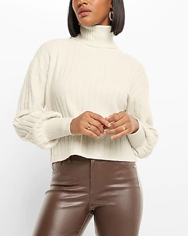 Express ribbed turtleneck on sale sweater