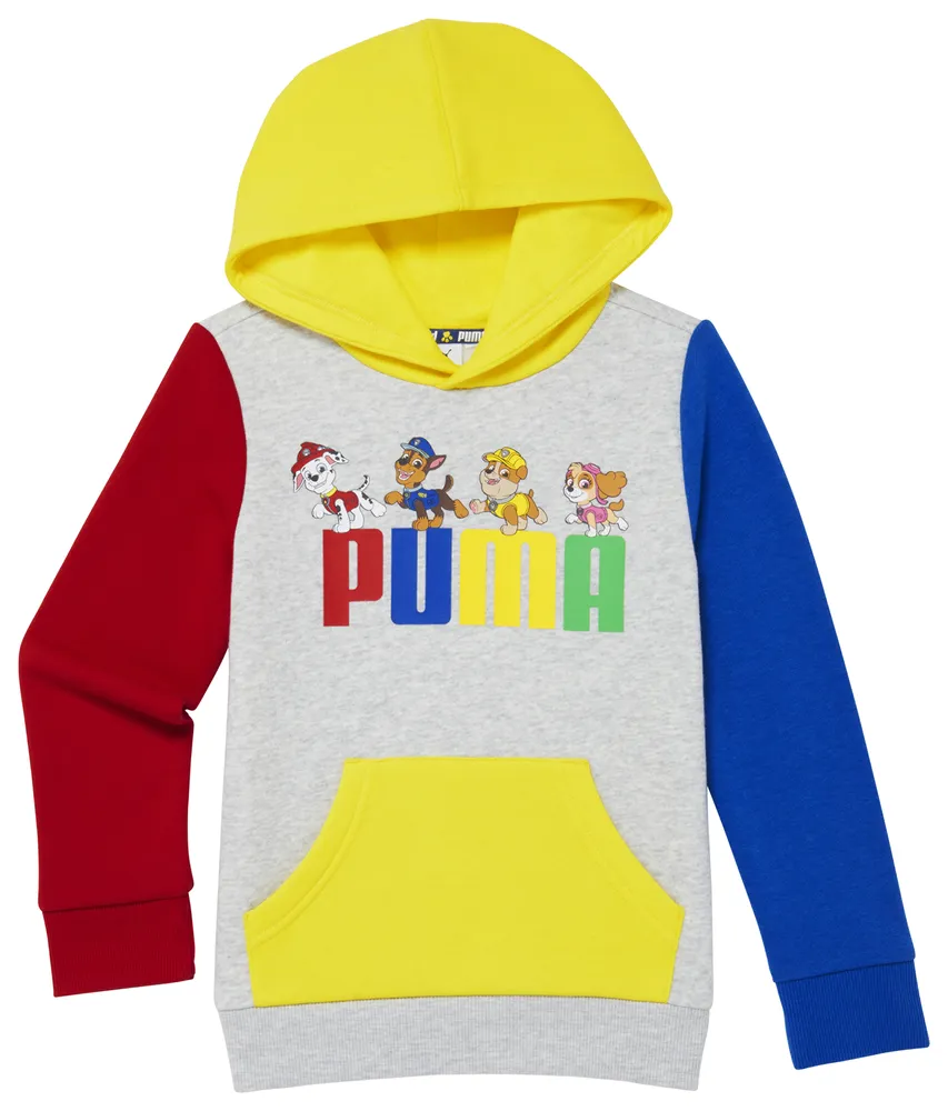 Puma 2024 boys hoodie