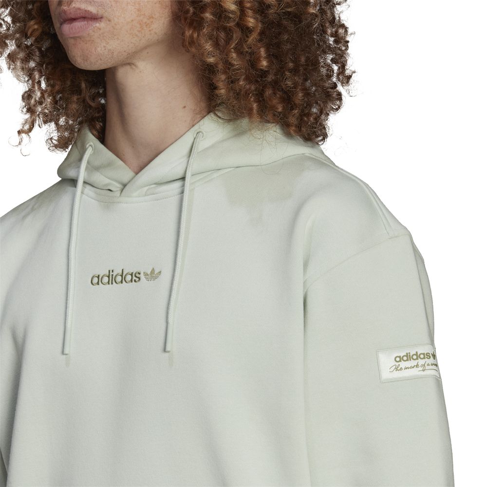 Adidas 2025 linear hoodie