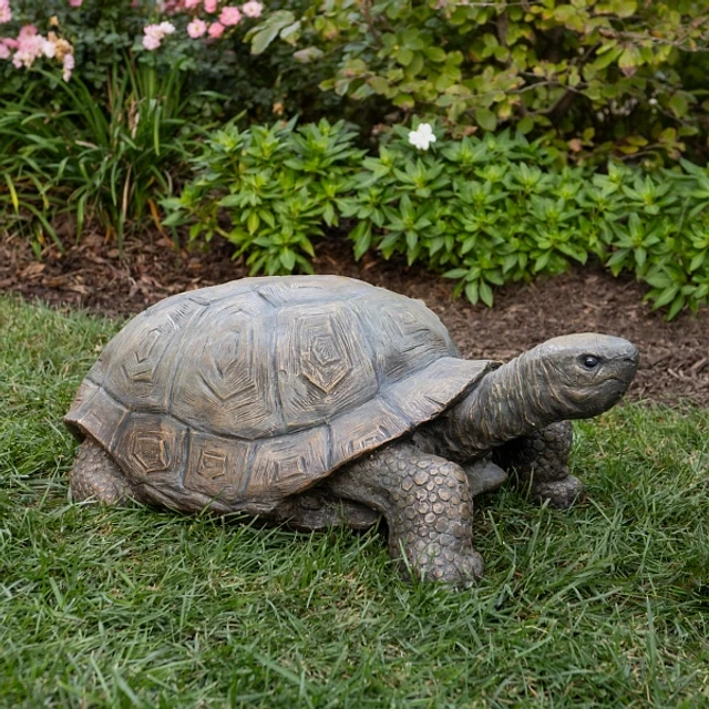 Kirklands Tortoise Statue at Hamilton Place in Chattanooga, TN