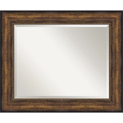 Kirkland's Gold Curved Beveled Frame Mirror | Hamilton Place