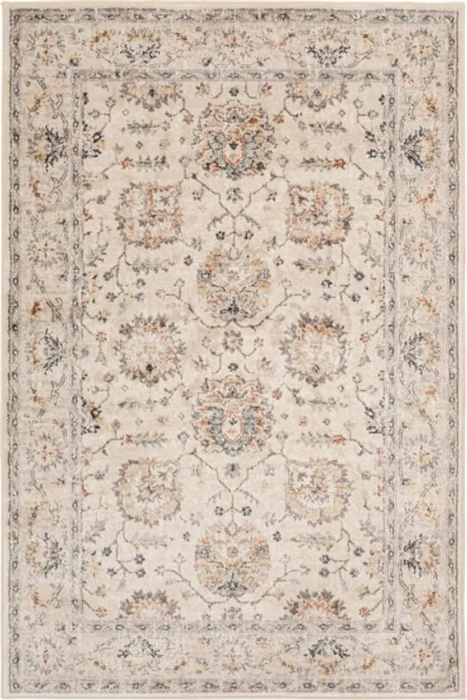 Kirklands Cream Vintage Floral Area Rug, 7x9 Hamilton Place