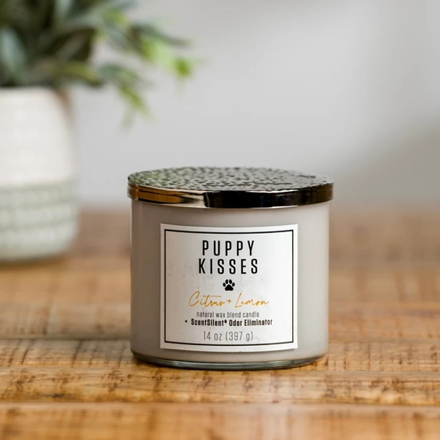 Kirklands Puppy Kisses ScentSilent 3-Wick Jar Candle at Hamilton