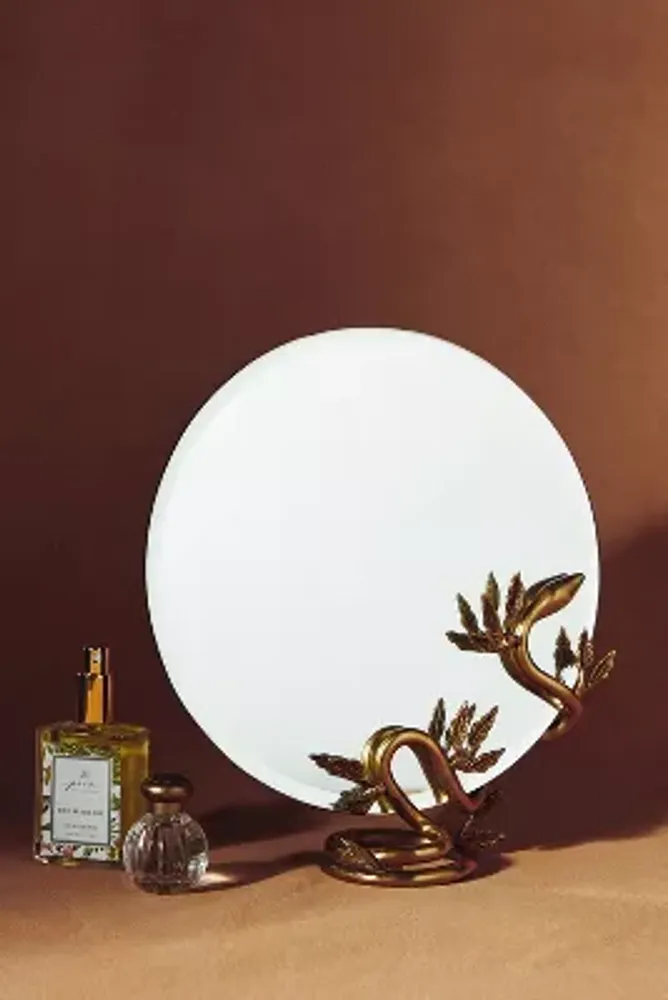 Anthropologie Serpentine Vanity Mirror Bethesda Row