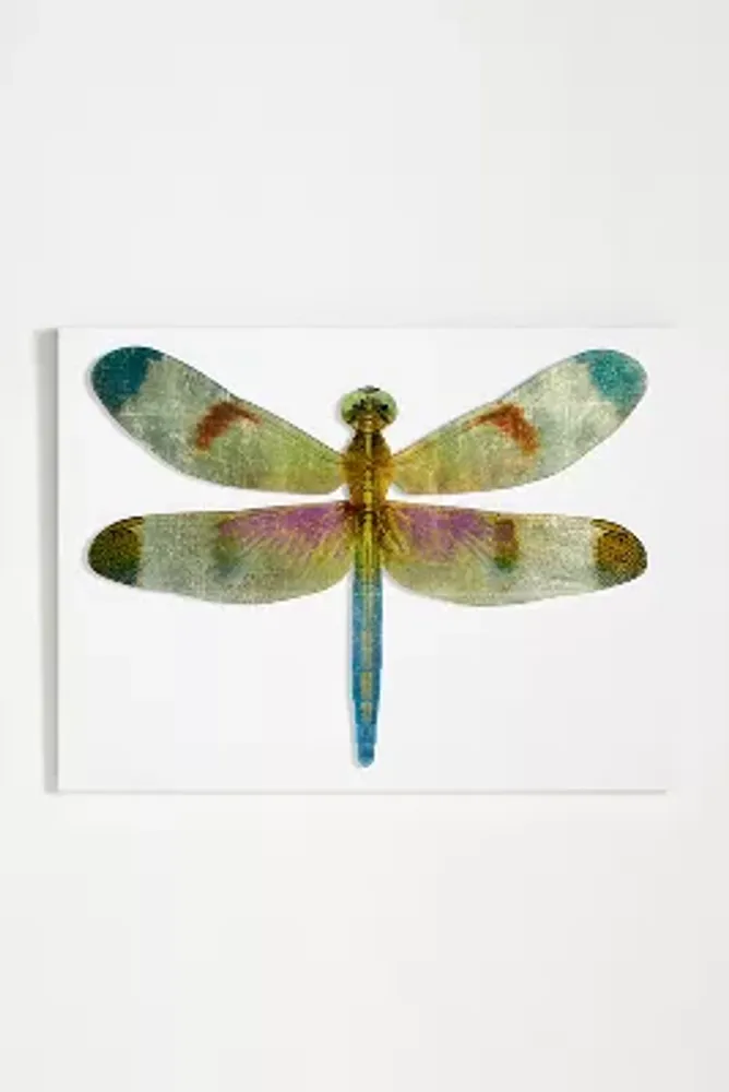 Anthropologie Dancing Sparkle Wall Art The Summit at Fritz Farm